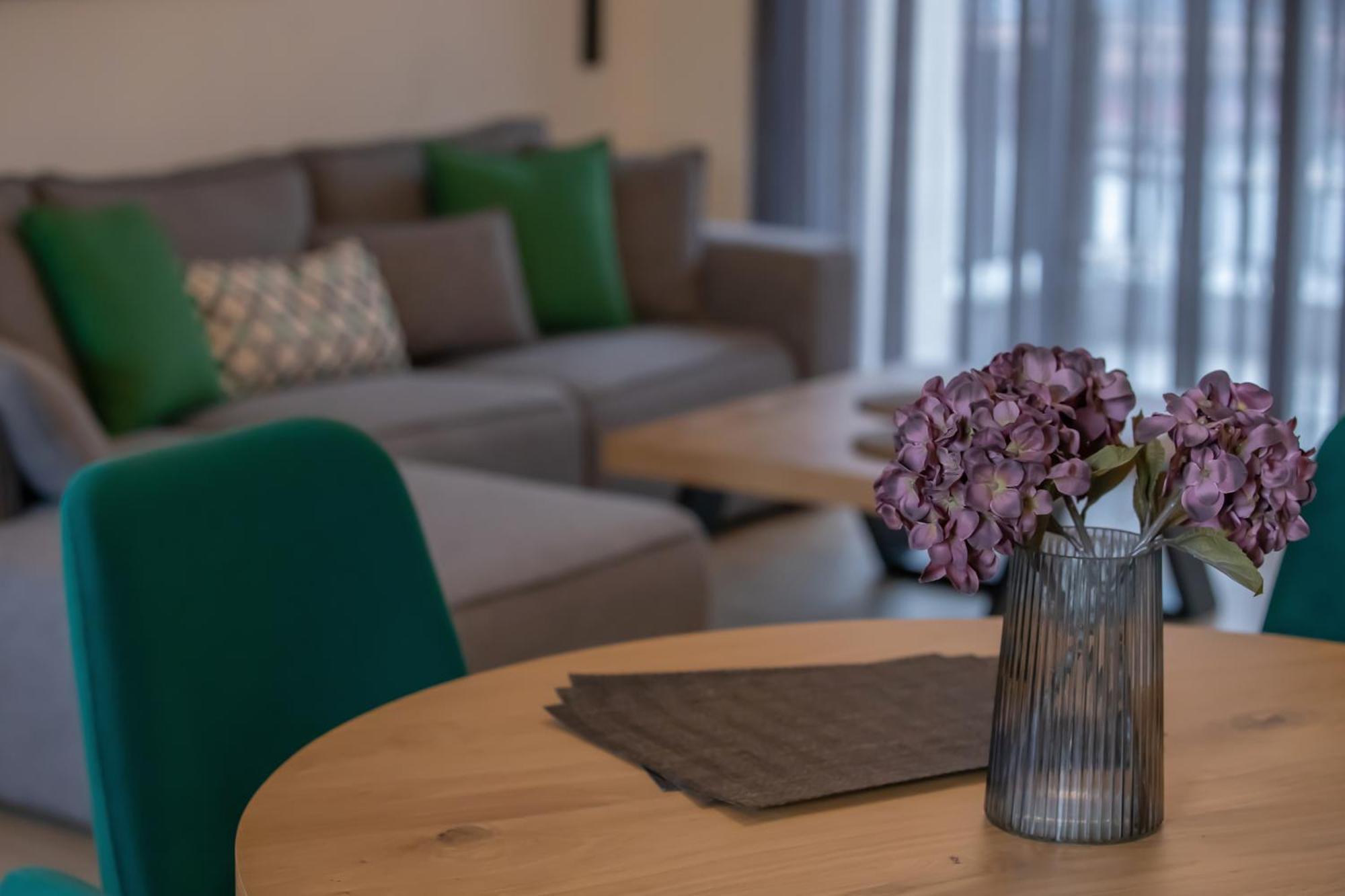 Element Suites - Green - Apt 1Bd - Каламбака Екстер'єр фото